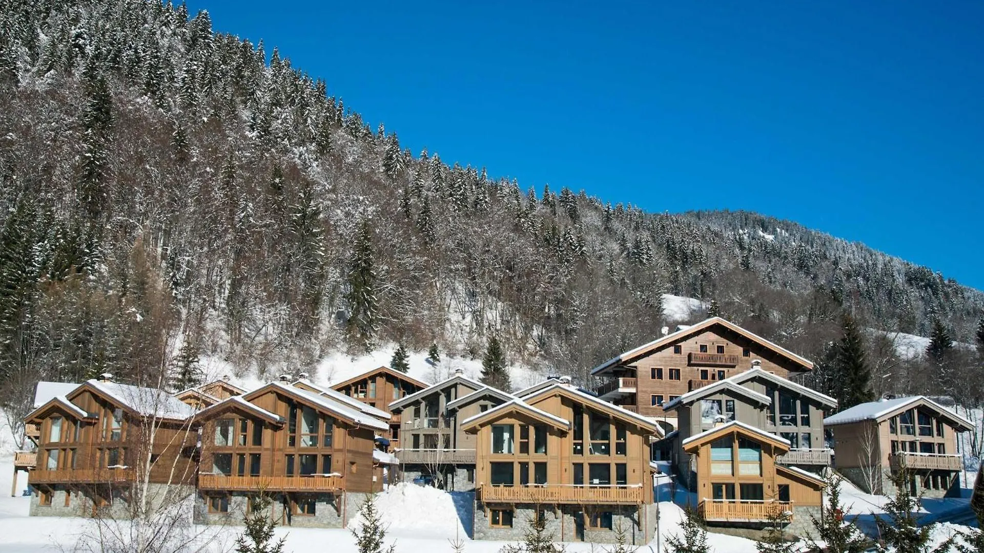 プラーズ・シュル・アルリー Nice Chalet With Fireplace In Megeveヴィラ 0*,