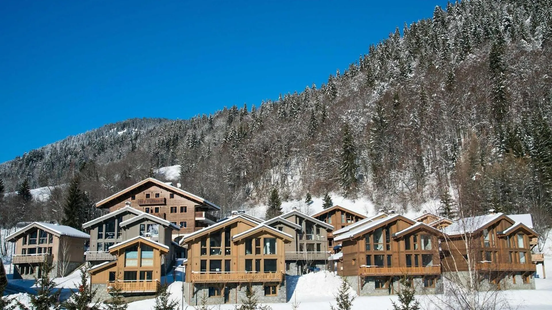 Nice Chalet With Fireplace In Megeve Praz-sur-Arly Francia